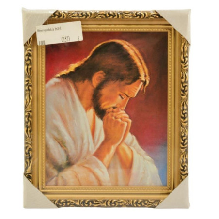 Obraz reprodukcja 20/25 ZŁOTY mix